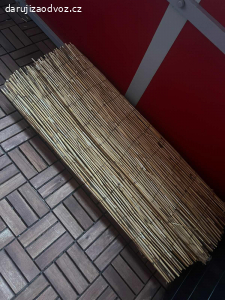 Bambusová zástěna