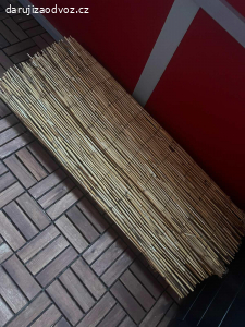 Bambusová zástěna