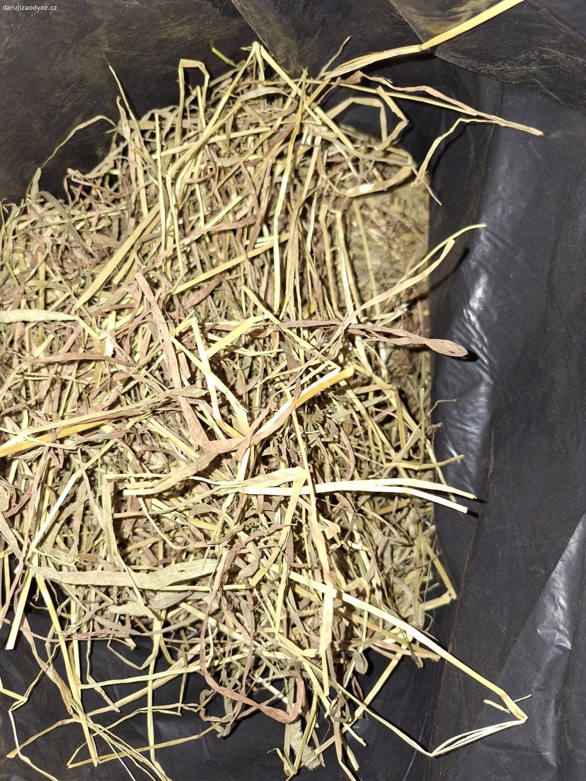 Seno. Nabízím seno pro kralíky, různé druhy z anilandu, kupovane nedavno, je uplne v poradku, jen ho moji vybiravci nechteji. V pytli je timotejske seno. Prosim sms