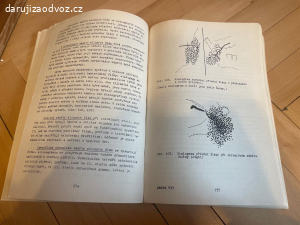 Skripta OTORINOLARYNGOLOGIE - Novotný, Sedláček