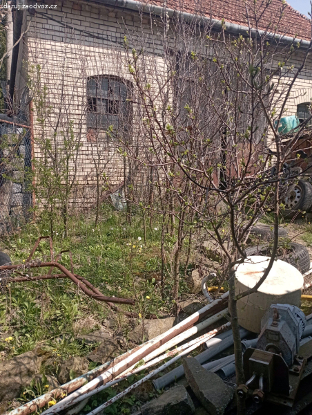 Stromky malých trneček