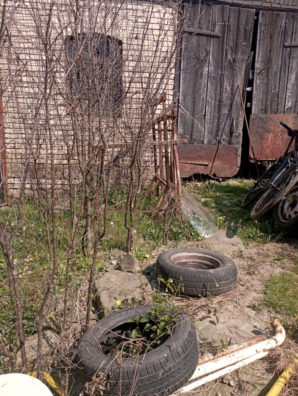 Stromky malých trneček. Daruji stromky malých trneček pavlůvky, pište prosím sms