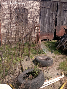 Stromky malých trneček