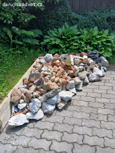 suť