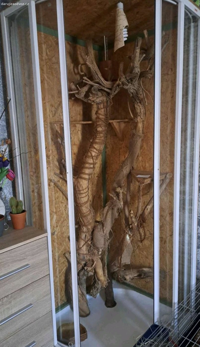 Terárium pro leguána. Daruji sprchový kout předělaný na terárium pro leguána . Odvoz nejlépe tuto neděli