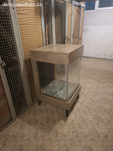 Terarium