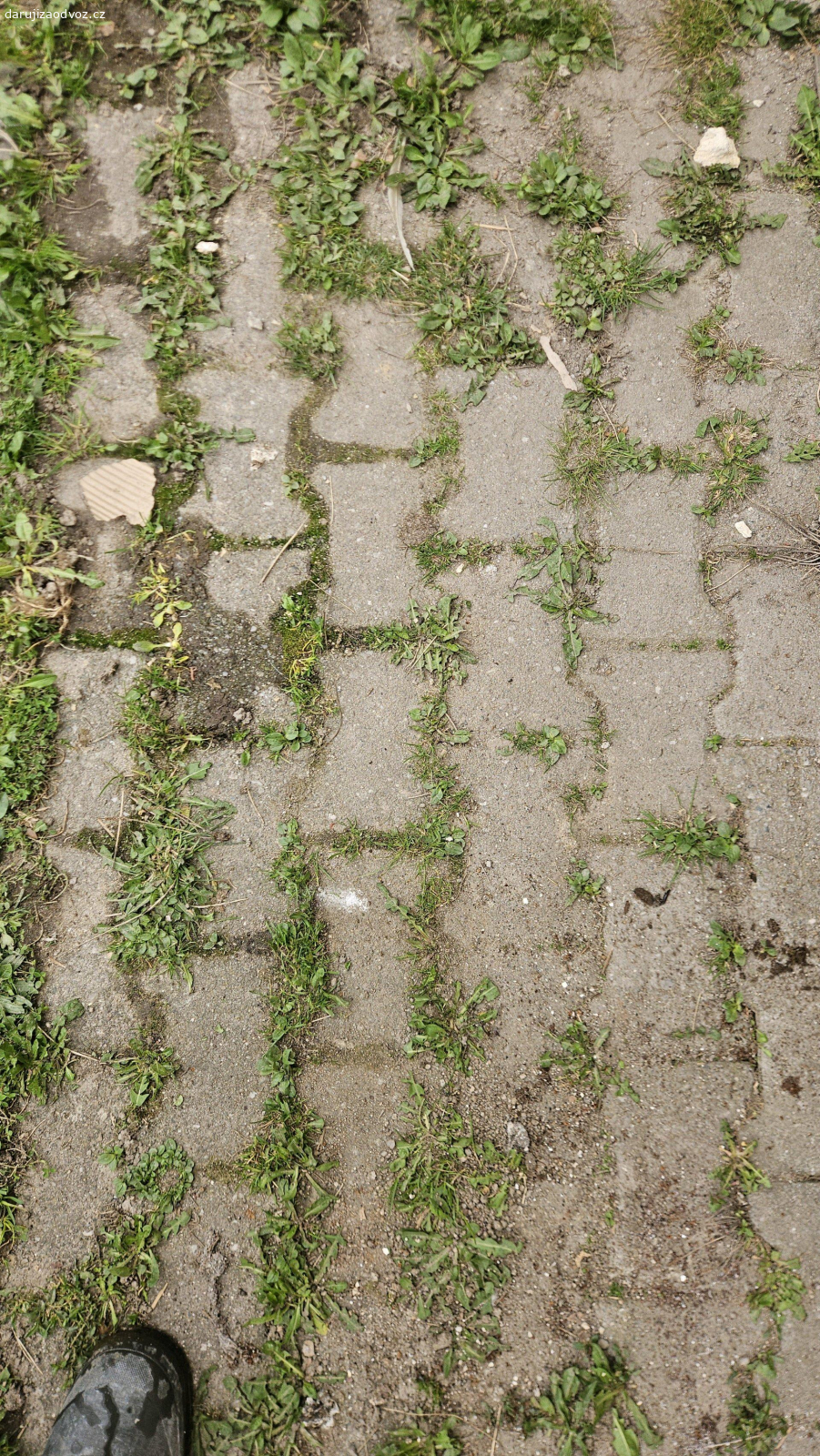 zámková dlažba. daruji za odvoz rozebranou zámkovou dlažbu. cca 6 až 8 m2.