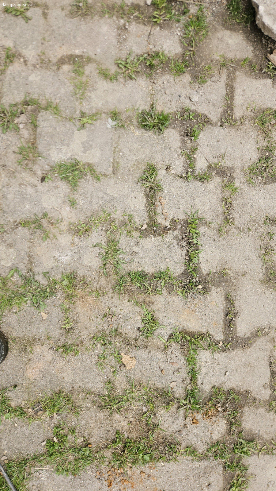 zámková dlažba. daruji za odvoz rozebranou zámkovou dlažbu. cca 6 až 8 m2.