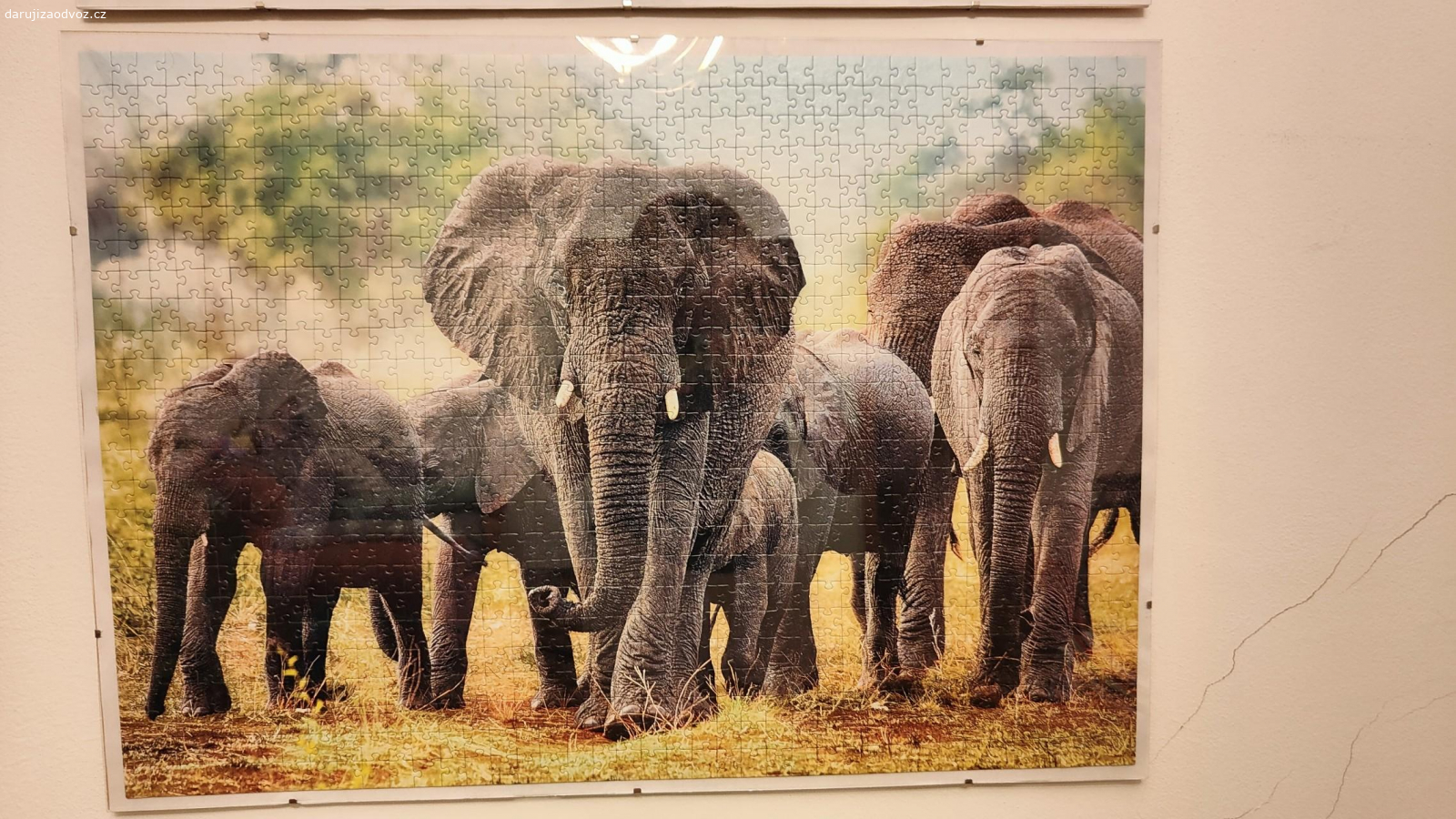 zarámované puzzle sloni. rozměry 70x50 cm
daruji za odvoz, ideálně předání zítra dopoledne na Hradčanech