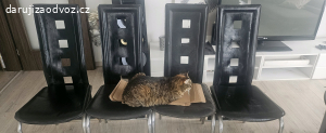 židle IKEA