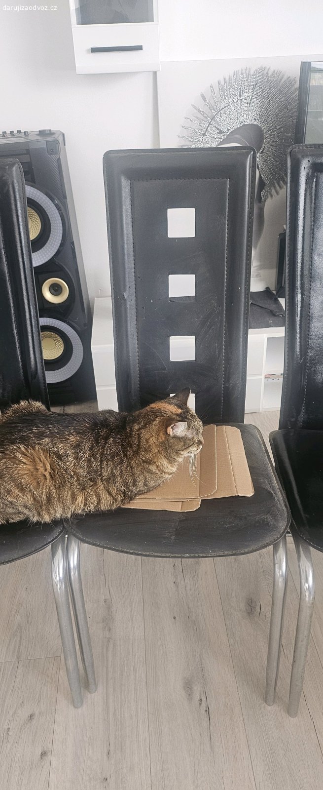 židle IKEA. Daruji 4 kusy kožených židlí s vysokým opěradlem z obchodního domu IKEA. (bez kočky)
 Černé barvy, sem tam známky rzi a poškození od koček. Vyzvednutí v Ostravě.